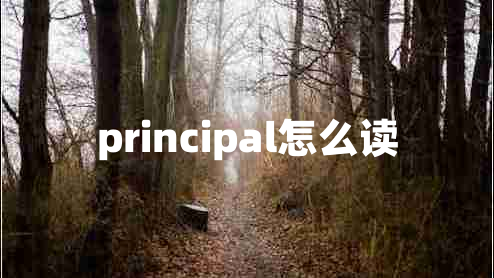 principal怎么讀