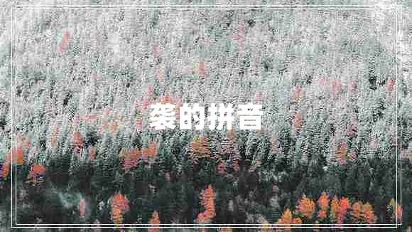 襲的拼音