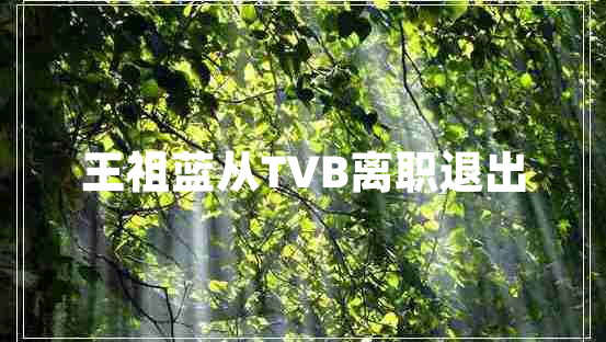 王祖藍從TVB離職退出