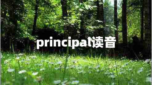 principal讀音