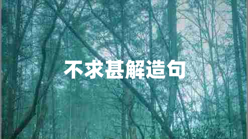 不求甚解造句