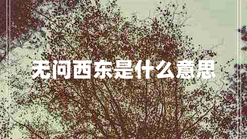 無問西東是什么意思