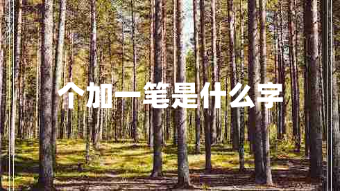 個(gè)加一筆是什么字