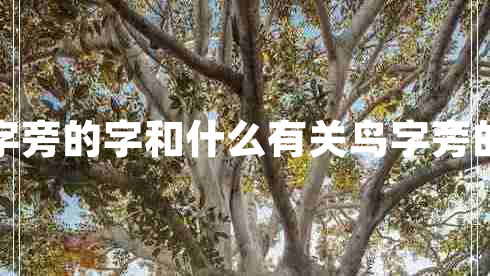 鳥字旁的字和什么有關鳥字旁的字