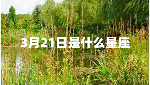 3月21日是什么星座