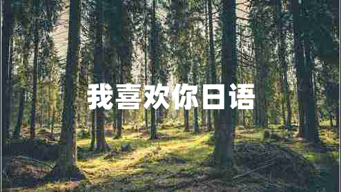 我喜歡你日語(yǔ)