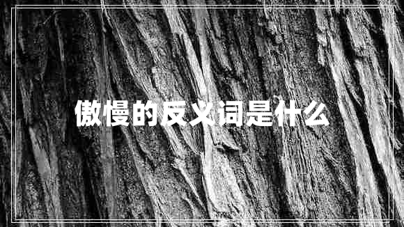 傲慢的反義詞是什么