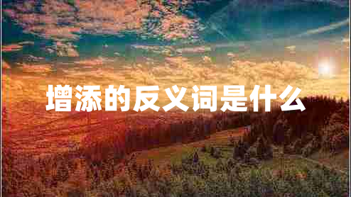 增添的反義詞是什么