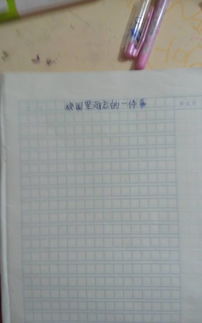 校園記事作文450字四級(jí)