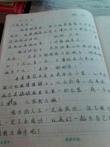 在校園里有什么收獲作文600字