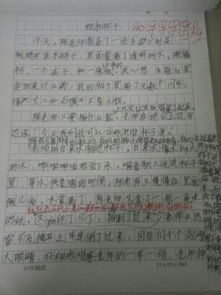 校園最美一角300字作文三級作文