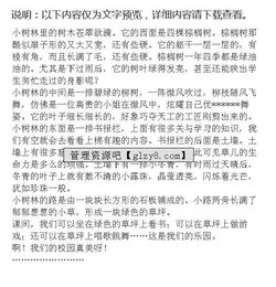 三年級作文校園一角300字,三年級作文校園一角操場300字,三年級作文校園一角教室300字