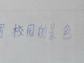 描寫校園的作文三百五十字