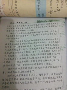 校園里的師生情作文400字