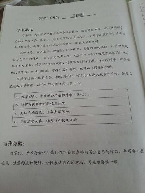 校園的變化四百字作文怎么寫