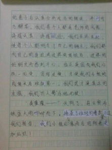 校園活動(dòng)記事作文500字