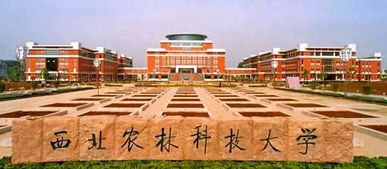 西北農(nóng)林科技大學(xué)校園介紹作文