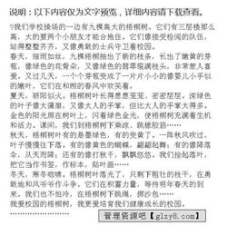 校園里的梧桐樹作文怎么寫三百字,校園里的梧桐樹的作文怎么寫,我家門口的梧桐樹作文怎么寫