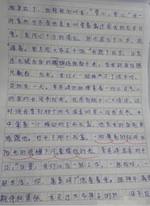 作文,描寫(xiě),小學(xué)生,校園