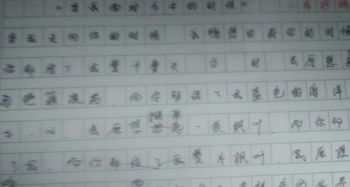 650字作文新的校園