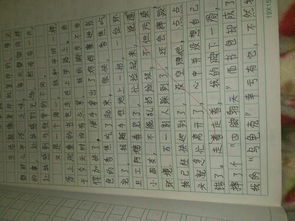 最難忘的校園400字作文600字作文