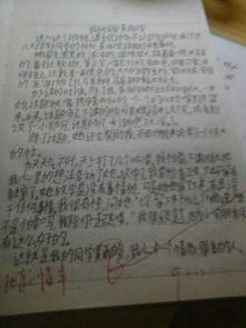 周記校園600字作文初一