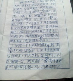 校園的作文350字以上,大合唱觀后感作文350字,新的校園作文350字