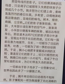 校園美景讓我陶醉作文600字