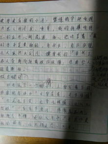 假山,作文,校園里,字左右