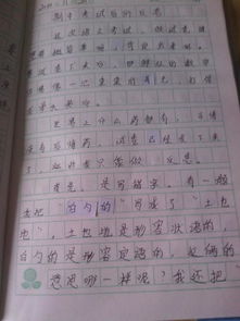 寫校園的作文四百字以上