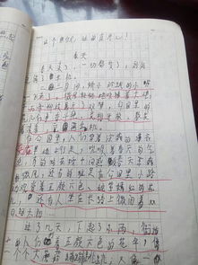 小學(xué)生四級(jí)關(guān)于春天的校園作文400字左右