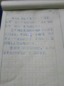 人文景觀,作文,字左右,校園