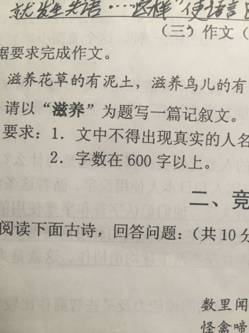 濃濃校園情600字,校園周記600字初中,我的校園600字初中