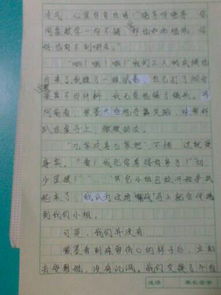 以校園生活為話題的作文700字左右,初中三年的校園生活作文700字作文,我的初中校園生活作文700字