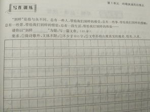 校園里的薔薇作文800字