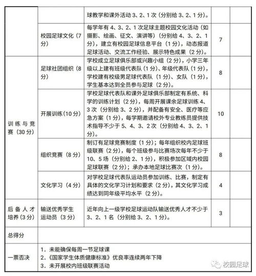 圍繞校園足球賽的作文