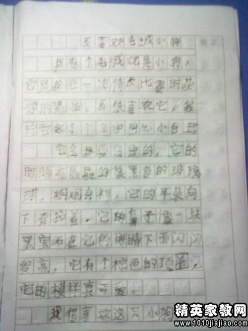 綠色生態(tài)校園作文300字