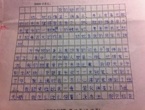 校園同學(xué)合作的作文600字