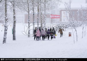 下雪后校園的場景作文200字