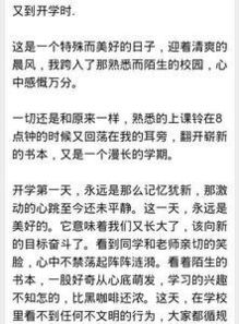 我們又回到了校園作文