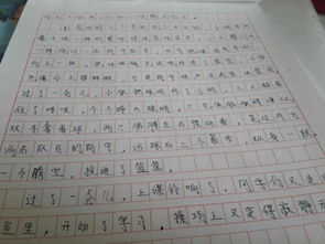 聽(tīng)我說(shuō)這就是我想要的安全校園作文600字