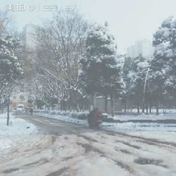 美麗校園雪景作文