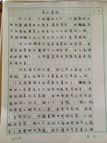 我在校園里最開心的事情作文四百字