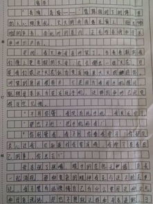 窗外的校園作文初中500字