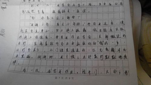 校園里的樹作文初三600字作文開頭