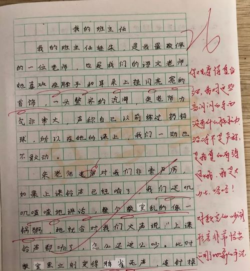 作文,字左右,校園