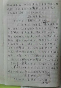 校園里的蘋果樹作文350字