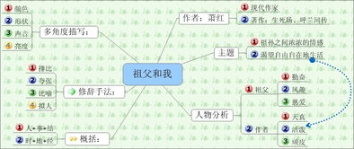 校園的樹思維導圖作文500字