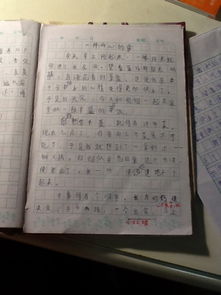 校園里的趣事700字作文