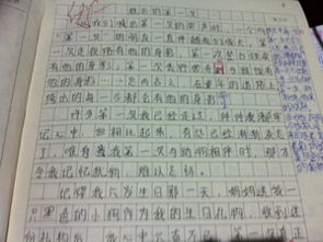 寫校園跑步的作文800字